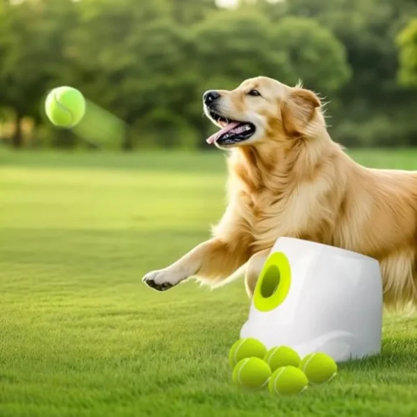 Automatic Dog Ball Launcher Interactive Fetch Toy
